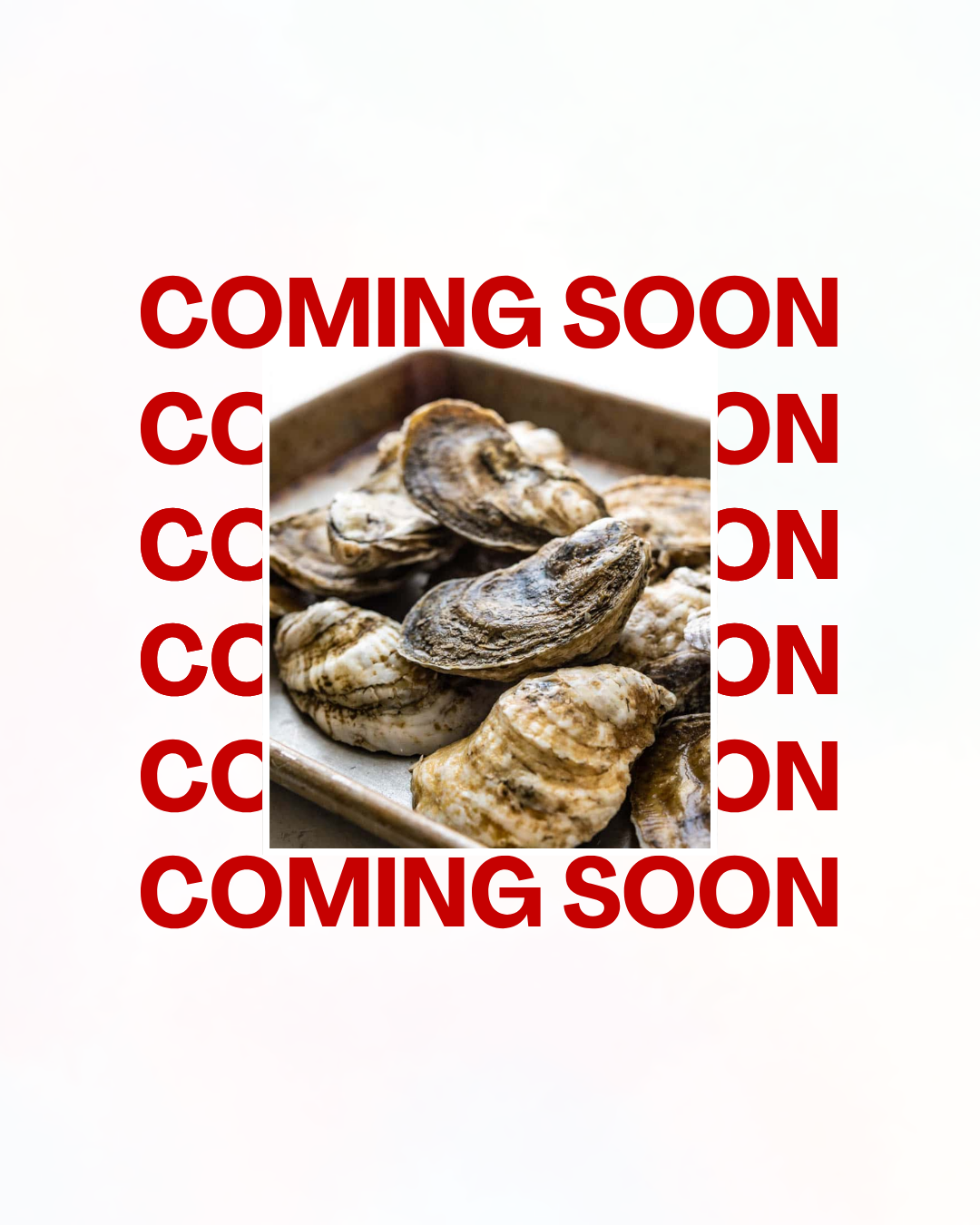 Custom Oyster Shucker